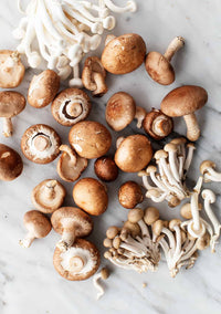 Indoor pilz cultivation with mixed samen