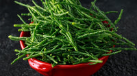 Sea Bean Gemüsesamen für einfache Aussaat