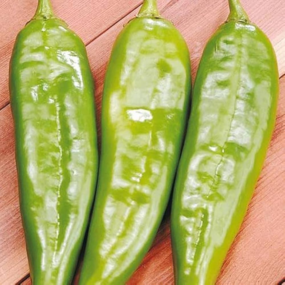 Italienische süße pepper samen für home gardens
