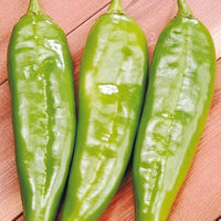 Italienische süße pepper samen für home gardens