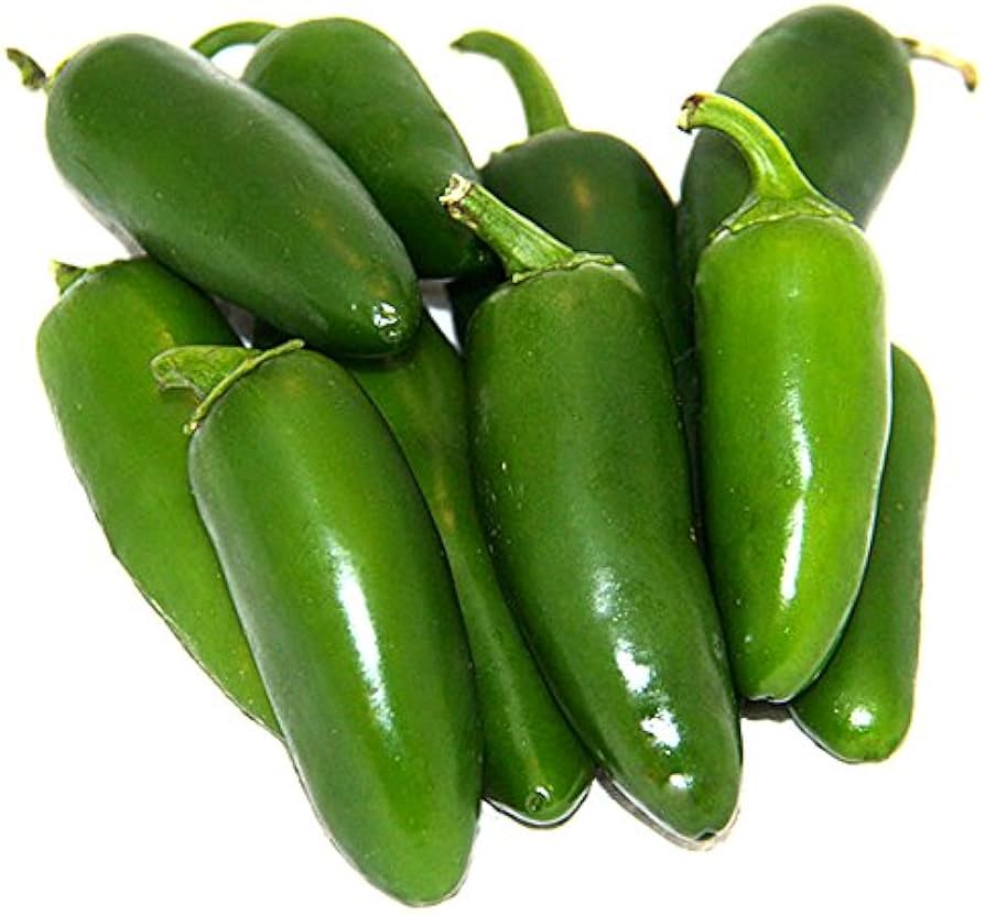 Jalapeno hybrid pepper samen für aussaat