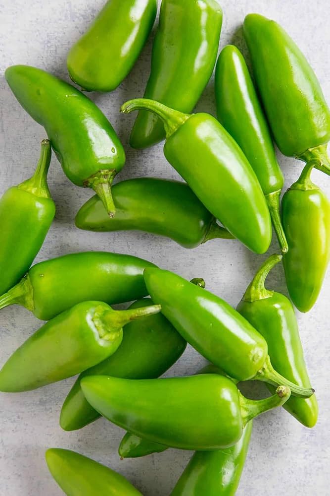 Jalapeno pepper pflanzen wachsend in raised bed garten