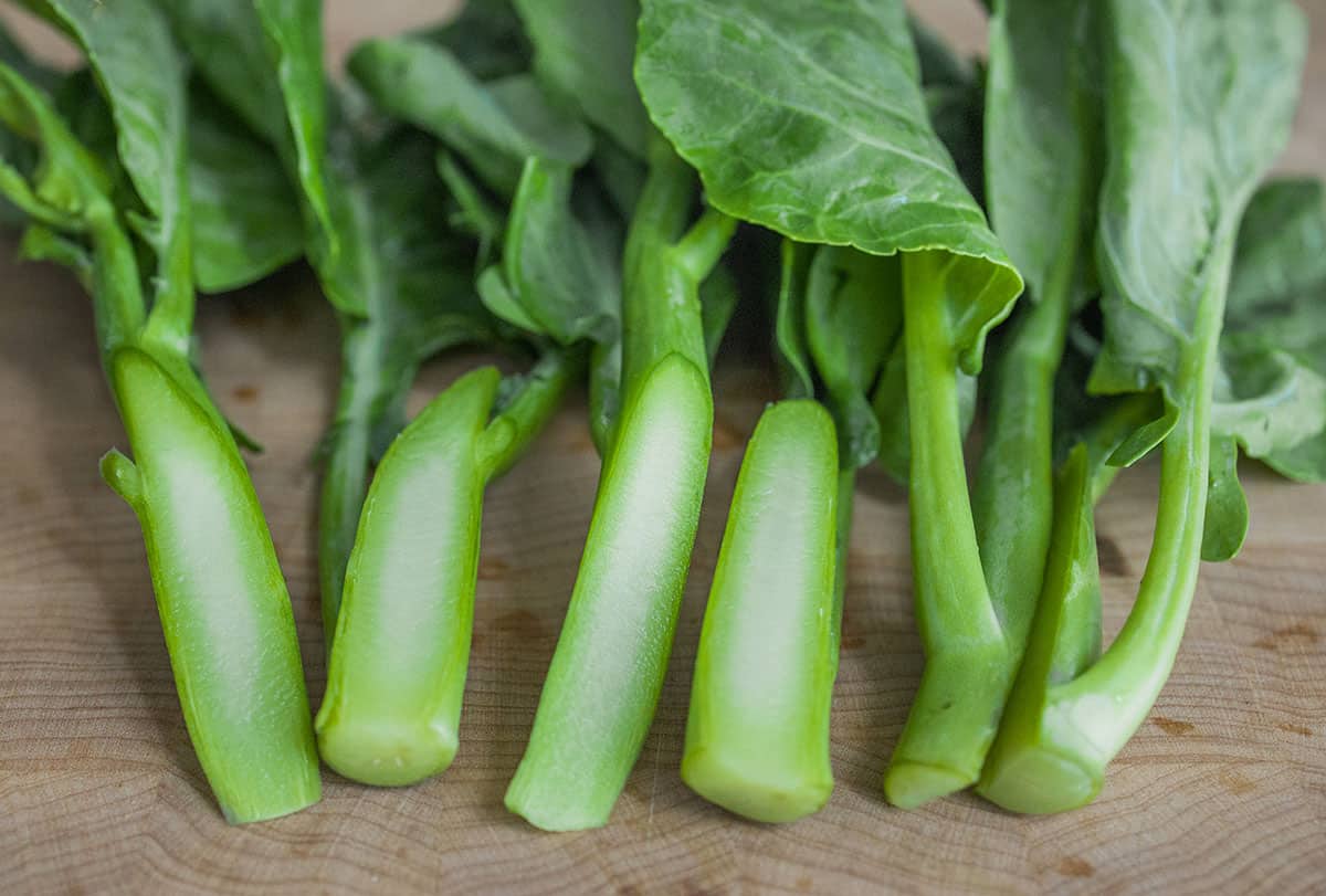 Fresh kai lan blattreiche greens ready für harvest