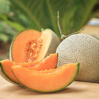 Karamel melon pflanzen with healthy vines