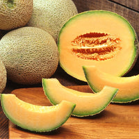 Karamel melon samen non-gmo süße golden melons