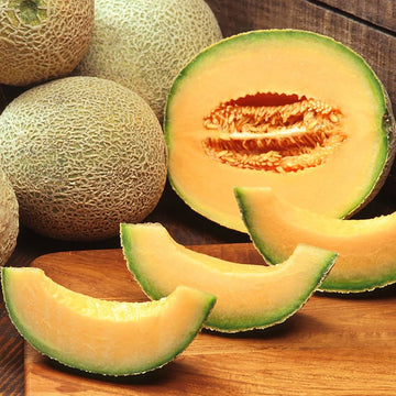 Karamel melon samen non-gmo süße golden melons