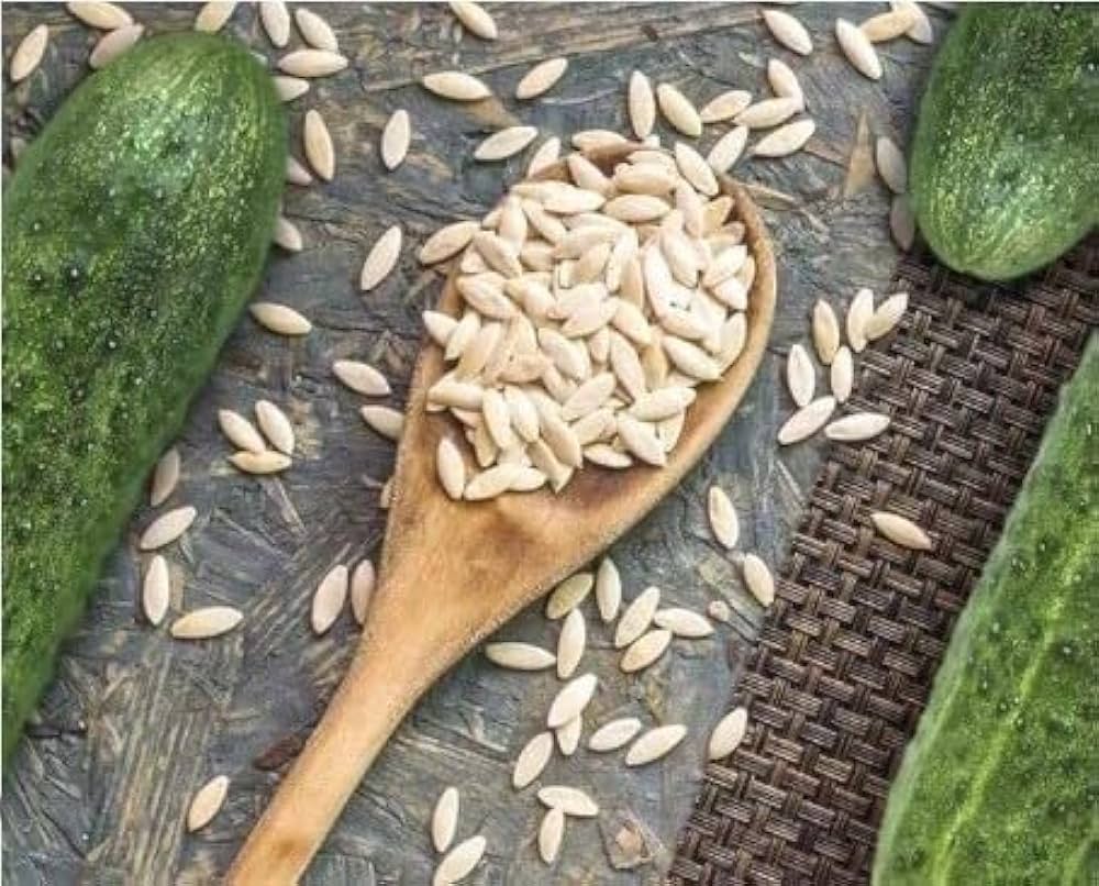 Long crisp cucumbers gezogen aus kvarit f1 cucumber samen