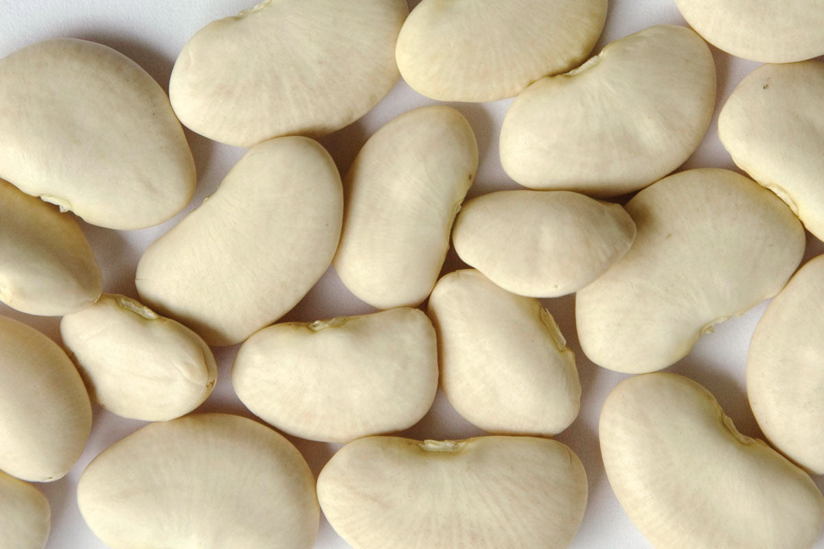 Lila & Weiß Lima Bean Samen zum Pflanzen