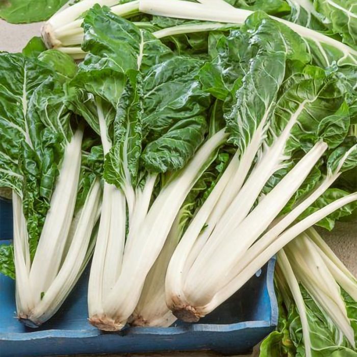 Green Chard Gemüsesamen  Perfect for Home Gardening