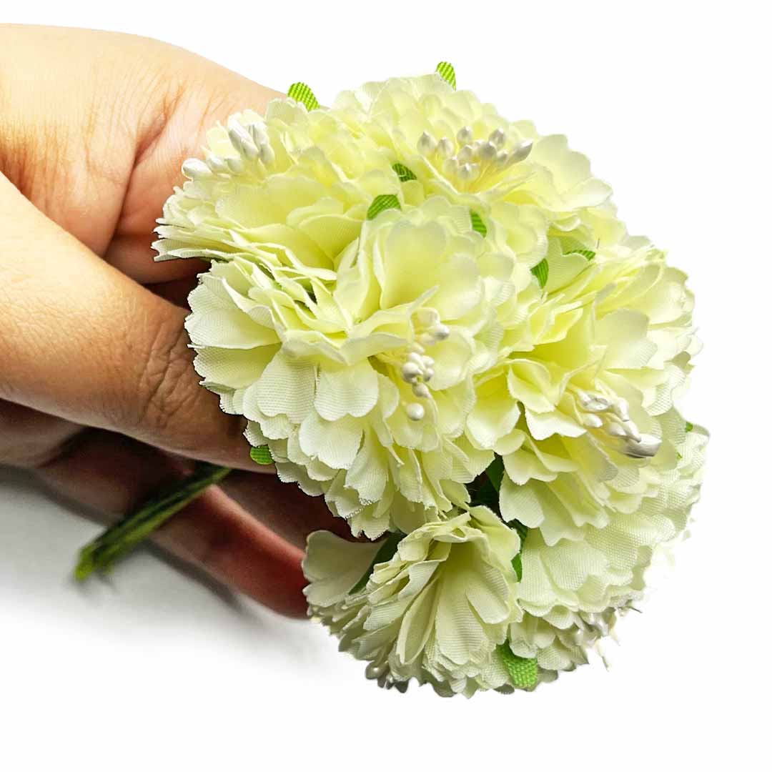 Light gelb carnation blume samen for anpflanzung