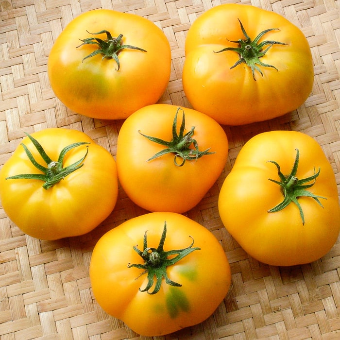 Helle gelbe riesige tomato samen für aussaat