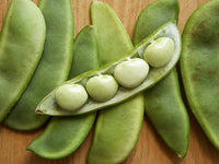 Green Lima Bean Samen for Gemüse Planting