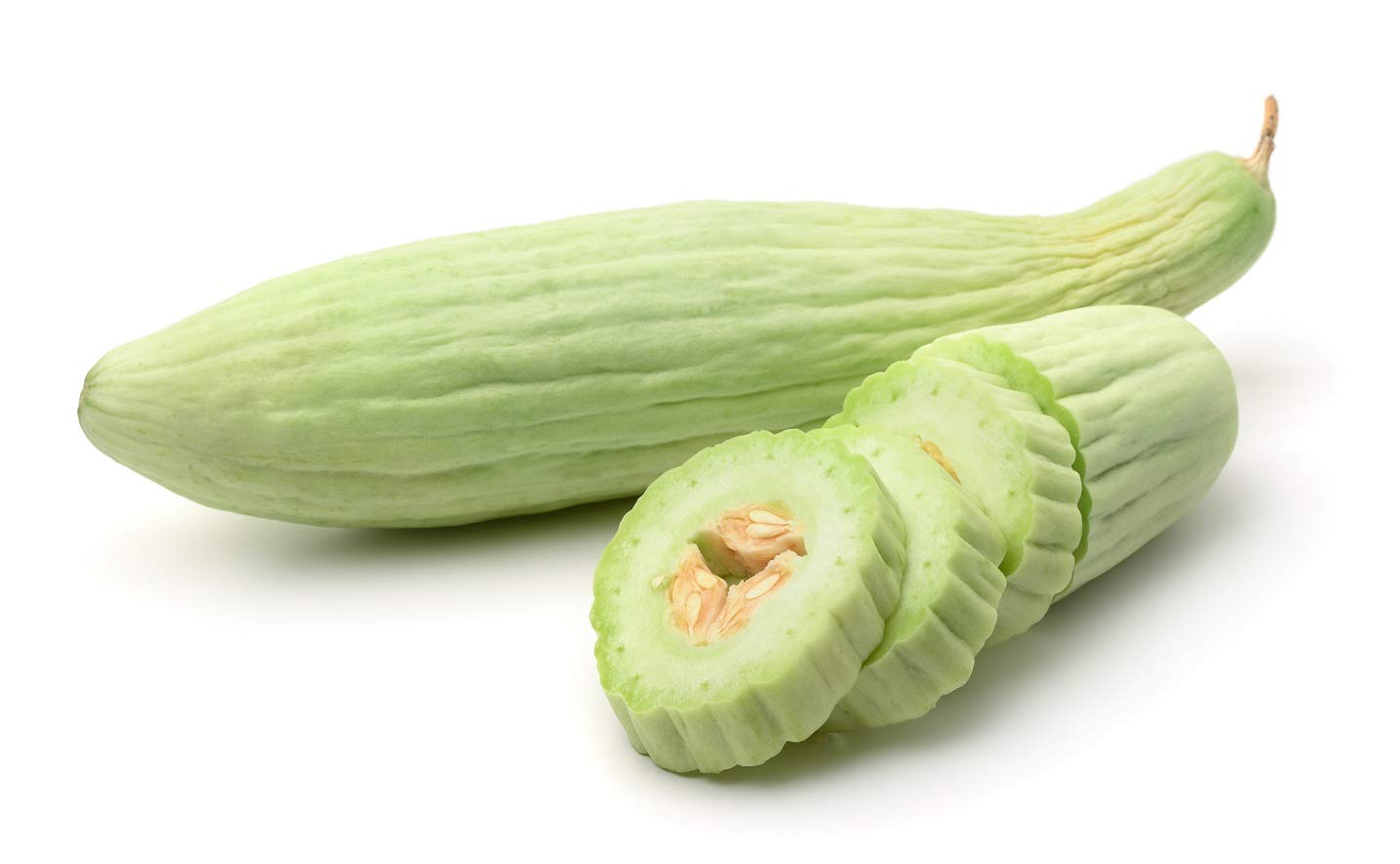 Long cucumber pflanzen gezogen aus armeno yard samen