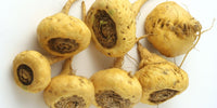 Maca root pflanze gezogen aus samen