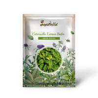 Melissa officinalis Citronella Kraut grown from Samen with green leaves