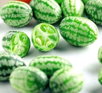 Small crunchy cucumbers gezogen aus melothria scabra samen