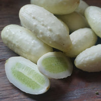 Mini weiße cucumber samen für home gardens