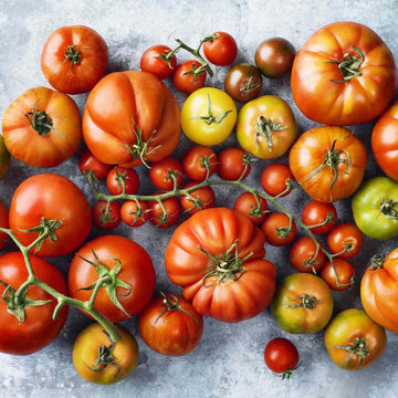 Mixed riesige tomato samen für aussaat