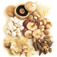 Mixed pilz gemüse samen für einfachen aussaat