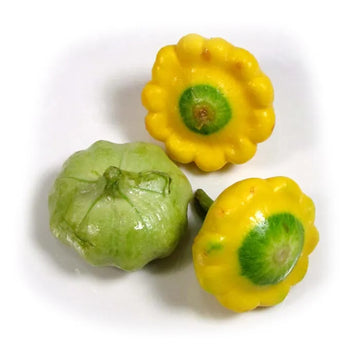 Non-gmo mixed patty pan samen für aussaat in home gardens