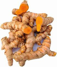 Mixed Turmeric Kraut Pflanze with lush foliage