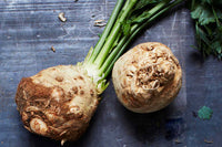 Celeriac Planting Samen Collection | Grow Your Own Gemüse