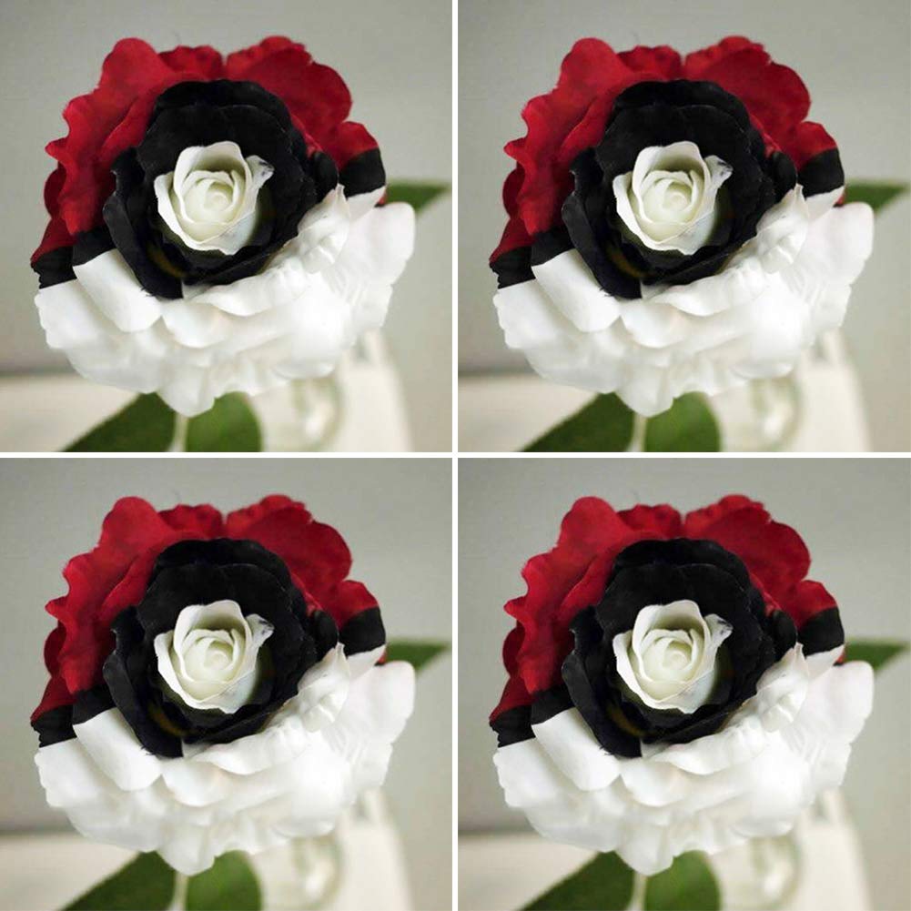 Non-gmo schwarz rose samen for decorative anpflanzung