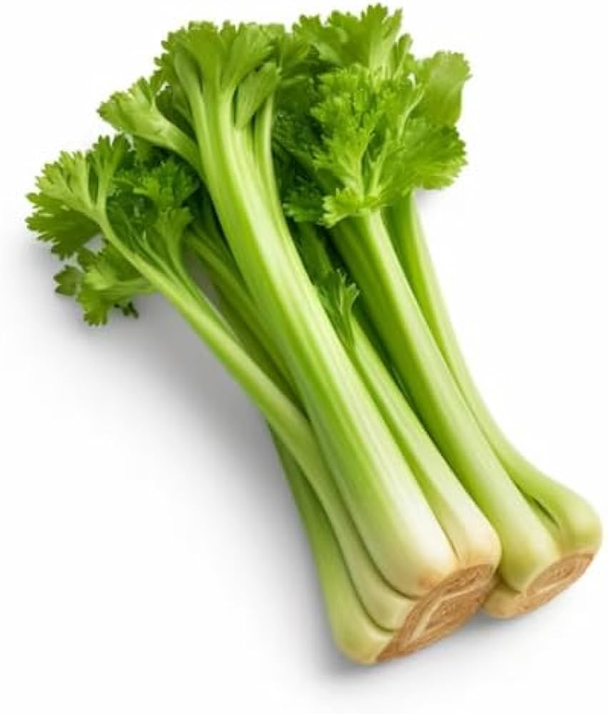 Non-gmo celery samen für backyard aussaat