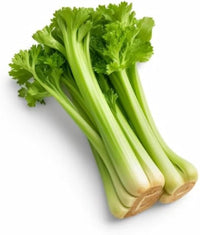 Non-gmo celery samen für backyard aussaat