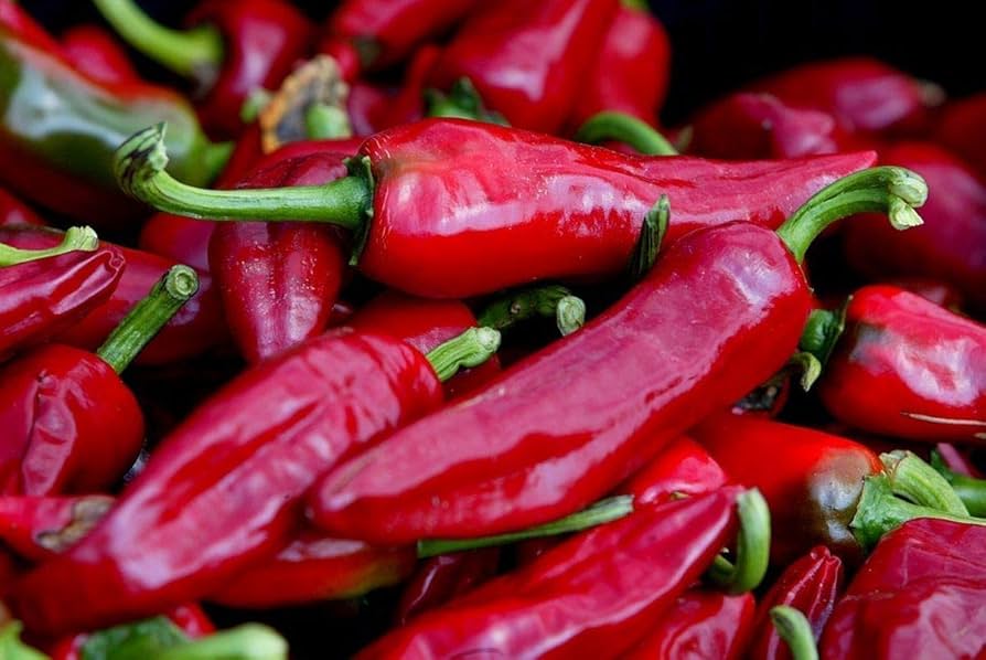 Non-gmo chimayo pepper samen für home gardens