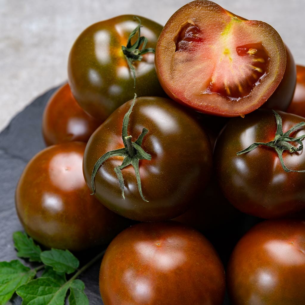 Non gmo dark brown tomato samen