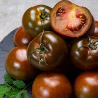 Non gmo dark brown tomato samen