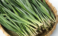 Non GMO Garlic Chive vegetable Samen