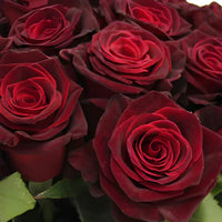 Non-gmo gray and rot rare rose samen for gardening