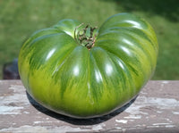 Non-gmo rubys german grüne-pomodoro samen