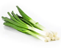 Non-gmo leek gemüse samen für gardening