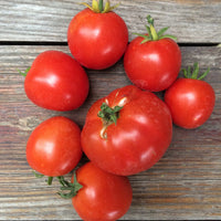 Non gmo helle red tomato samen