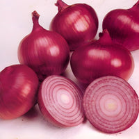 Non-gmo onion samen für backyard aussaat