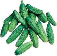Non-gmo parisian pickle cucumber samen für home gardens