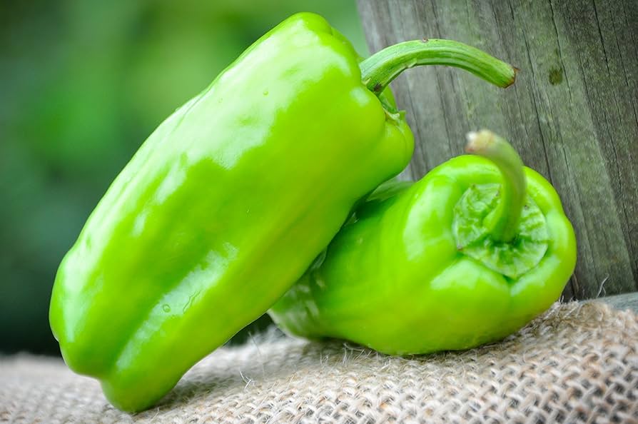 Non-gmo italienische pepperoncini samen