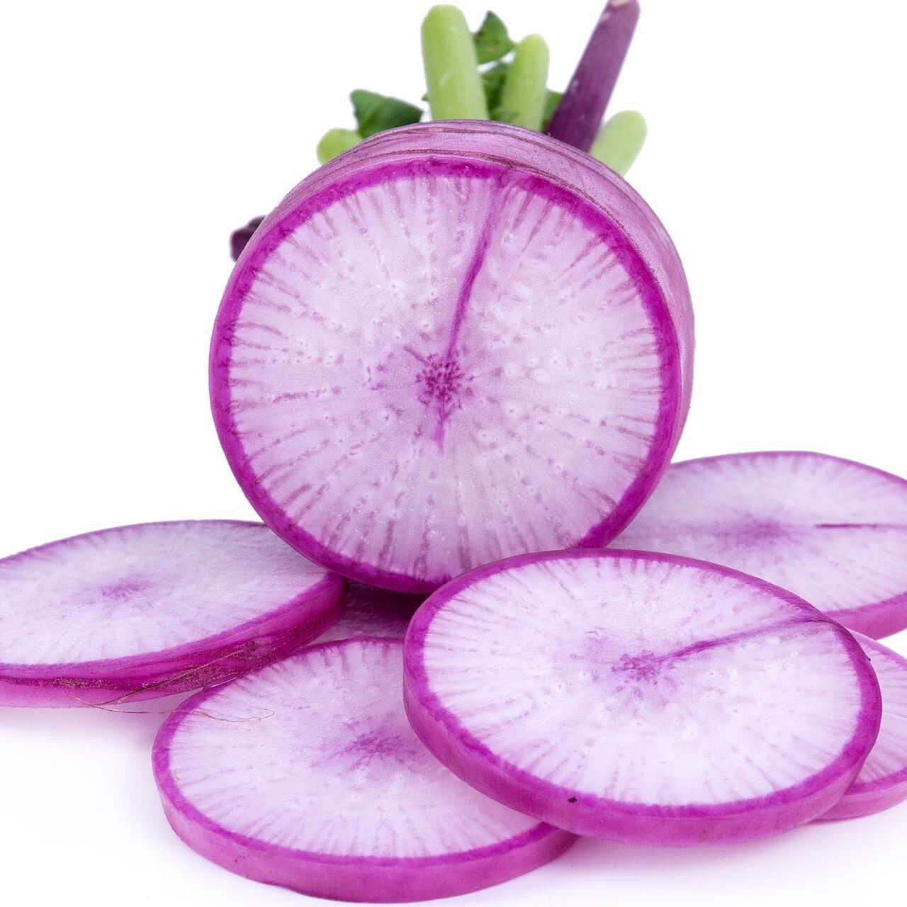 Non gmo lila radish samen für gardeners