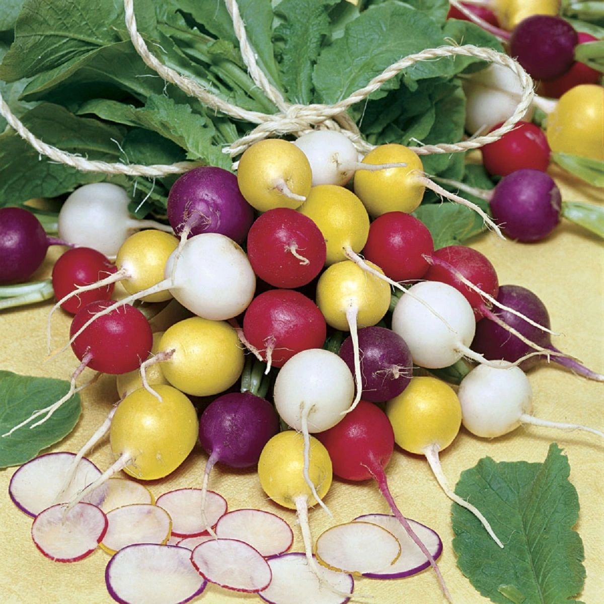 Non gmo rainbow radish samen