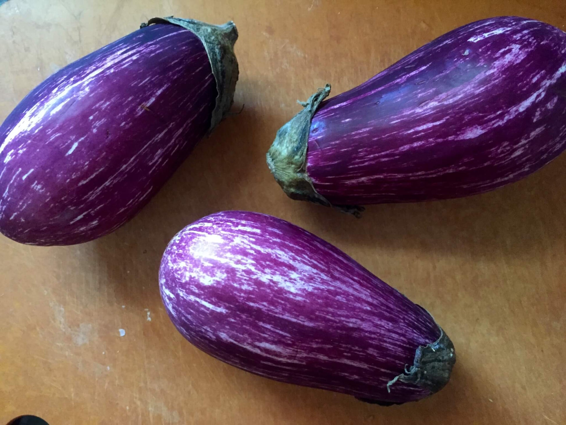 Non gmo süße eggplant samen für gardeners