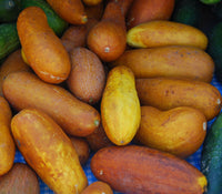 Non gmo gelbe cucumber samen für warm season aussaat
