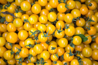Non gmo gelbe tomato samen für gardens