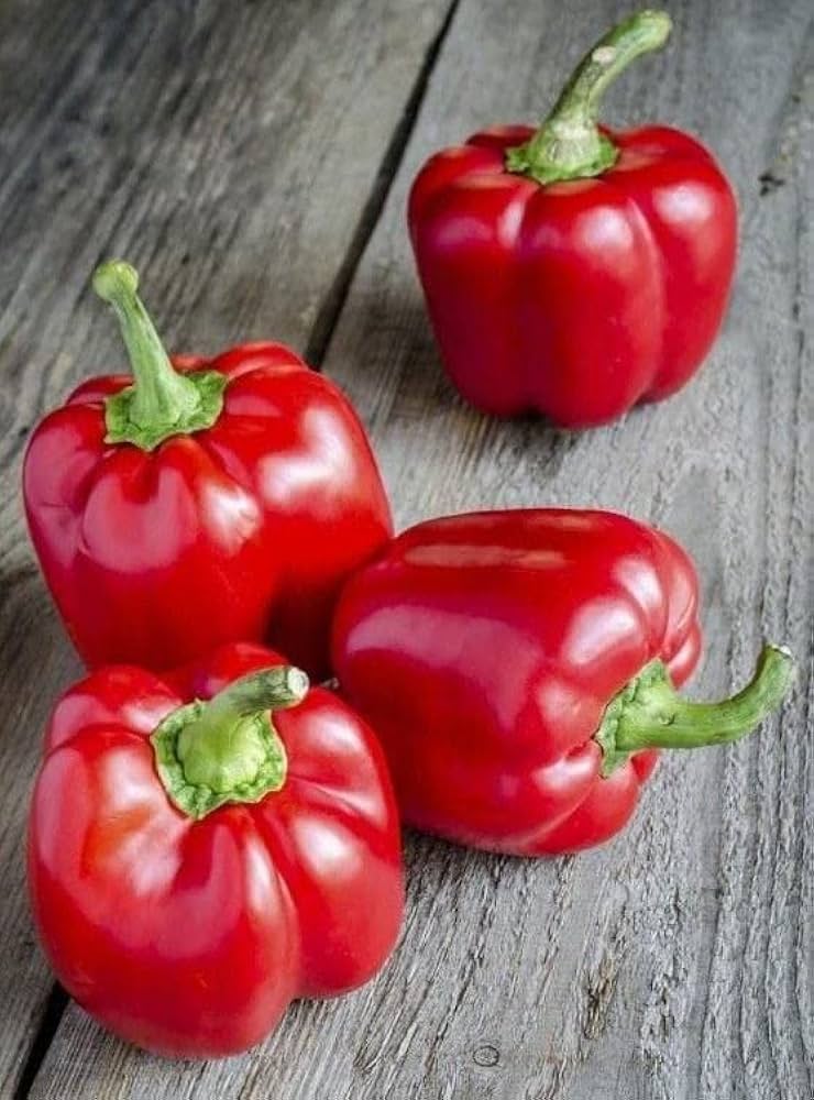 Non gmo nora samen einfachen to pflanze