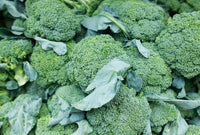 Nutritious greens broccoli samen für gardens