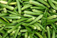 Okra pflanzen wachsend in home garten