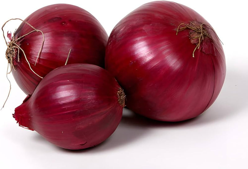 Onion samen für home gardens