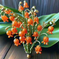 Orange bell orchid blume samen for anpflanzung